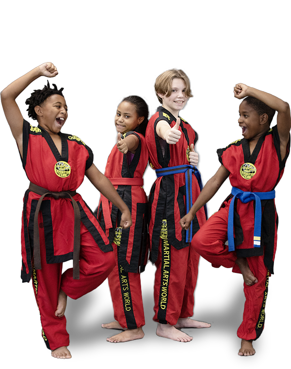 Martial Arts Classes for kids in Glen Allen